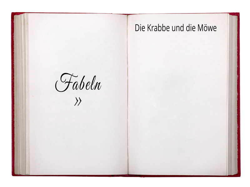 Aufgeschlagenes Buch