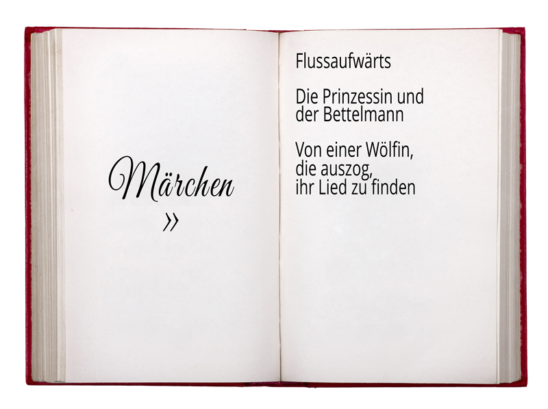 Aufgeschlagenes Buch